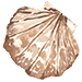 off-canvas-sea-mussels-3.png